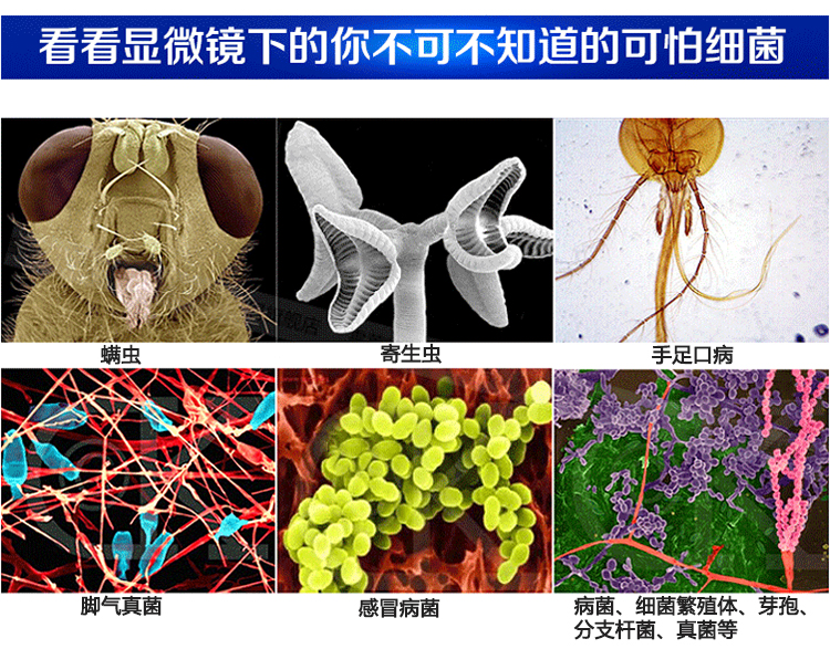 臭氧發(fā)生器殺菌消毒處理,臭氧應用于大腸肝菌